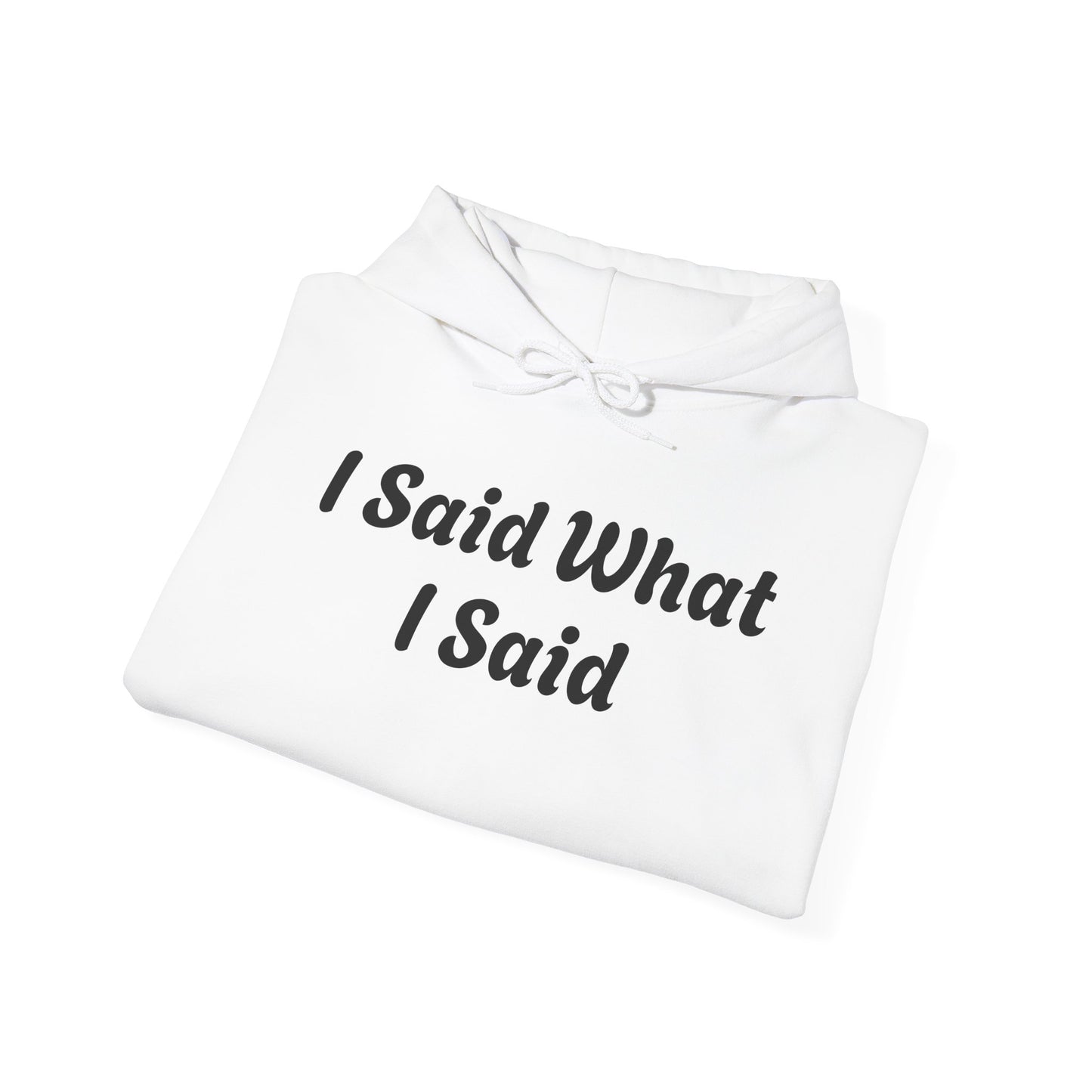 I Said What I Said Hooded Sweatshirt