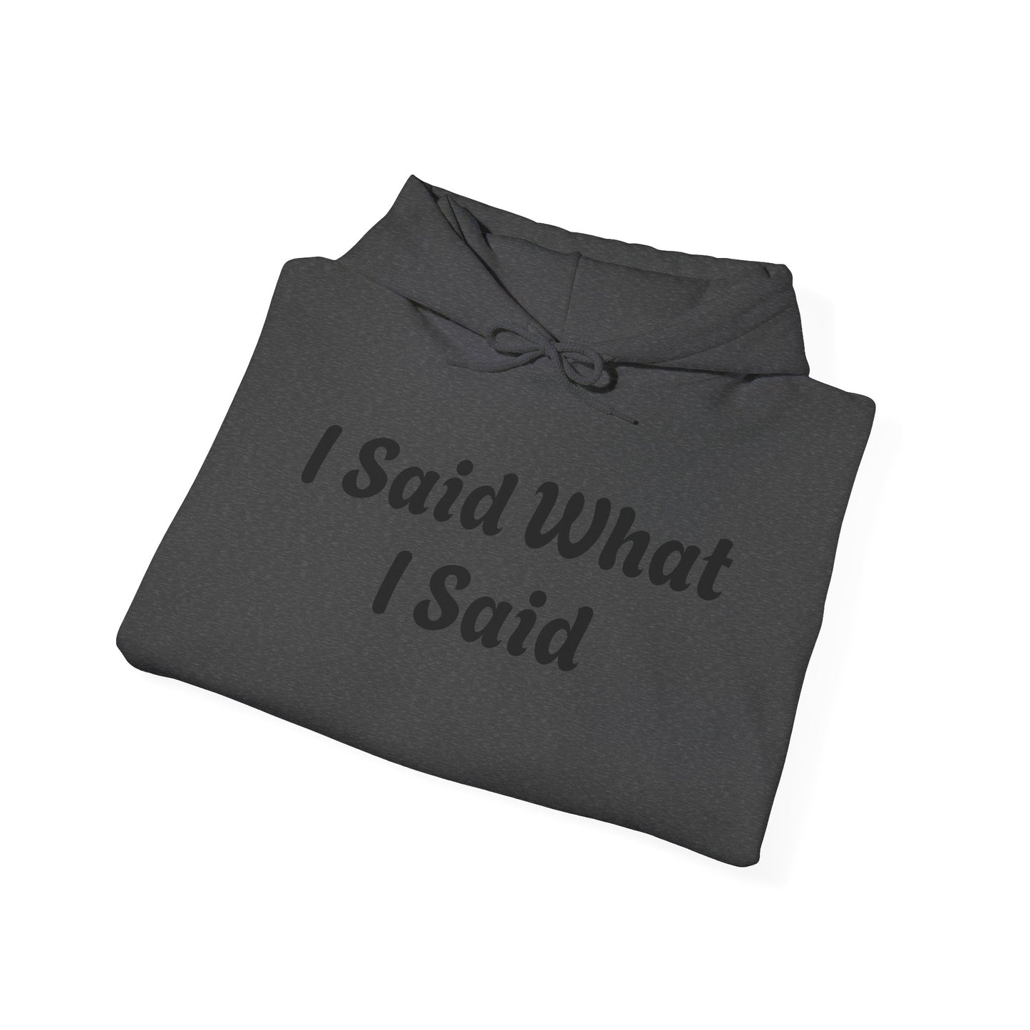 I Said What I Said Hooded Sweatshirt