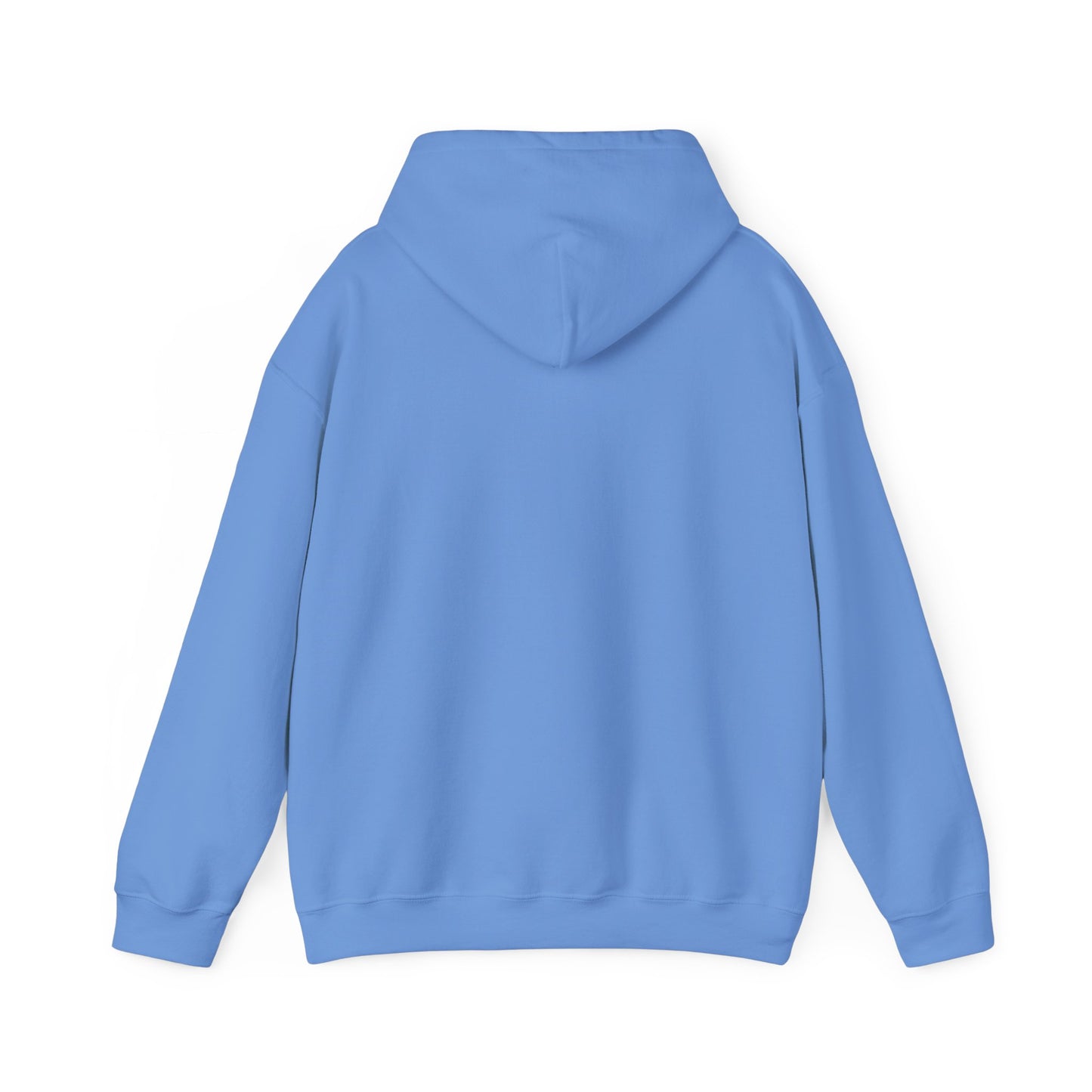 Not Your Basic Flying Witch w/ Wild Locs Hooded Sweatshirt