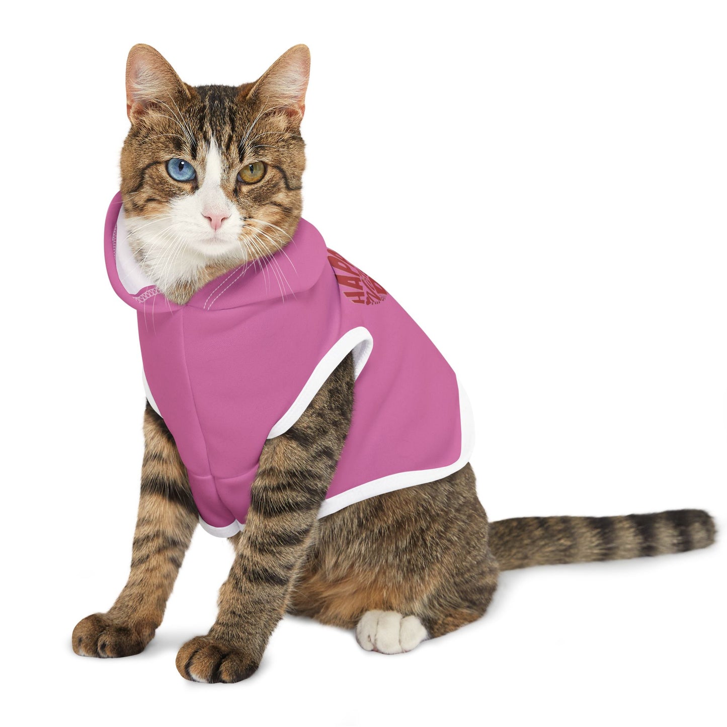 Happy Valentine's Day in a Heart Pet Hoodie