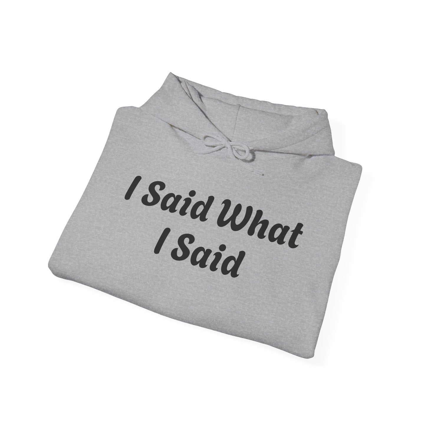 I Said What I Said Hooded Sweatshirt
