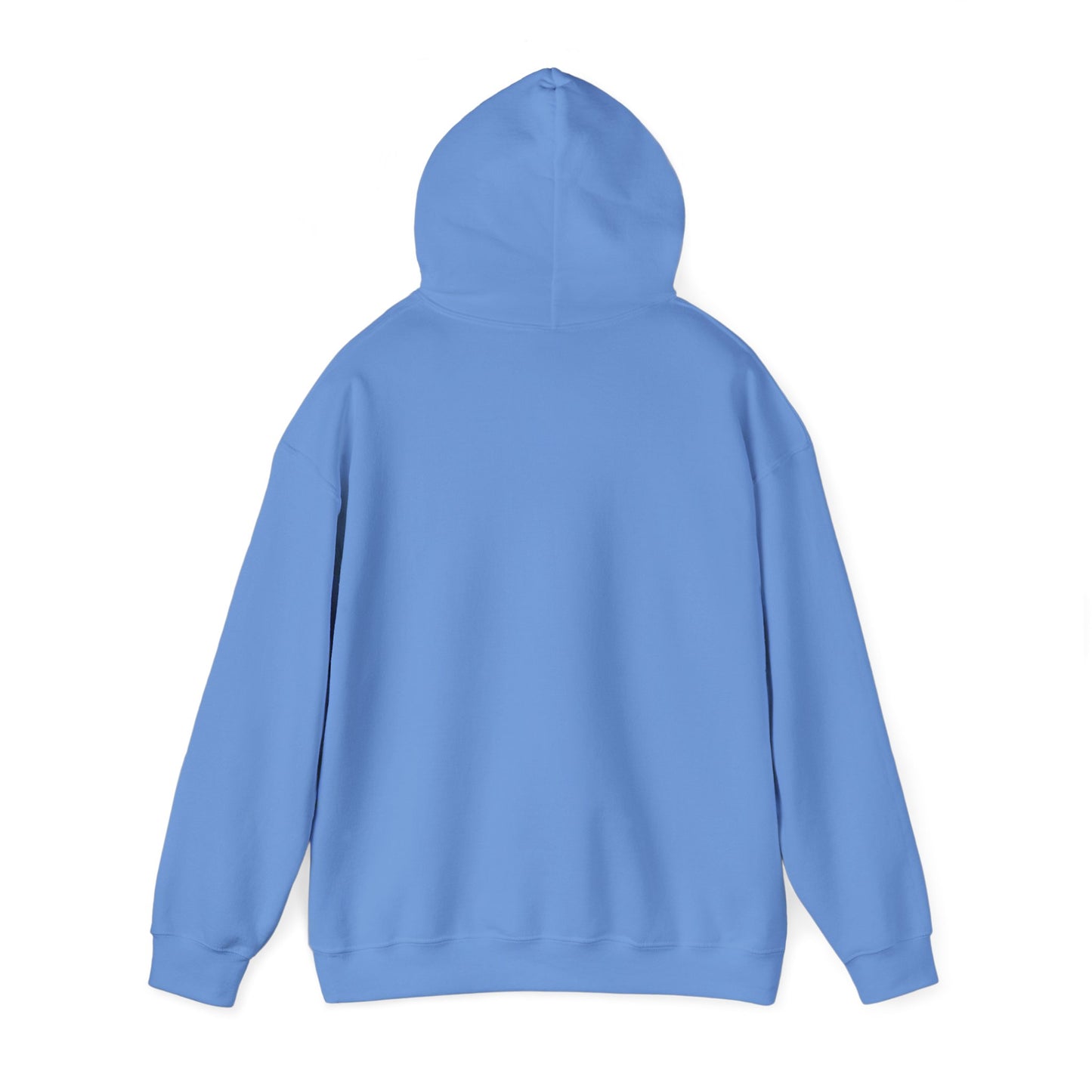 Not Your Basic Flying Witch w/ Wild Locs Hooded Sweatshirt