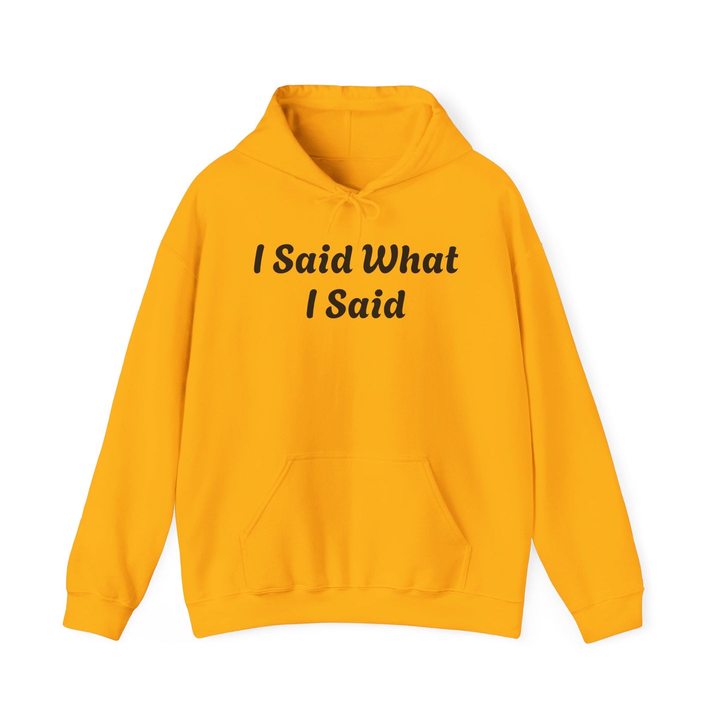 I Said What I Said Hooded Sweatshirt