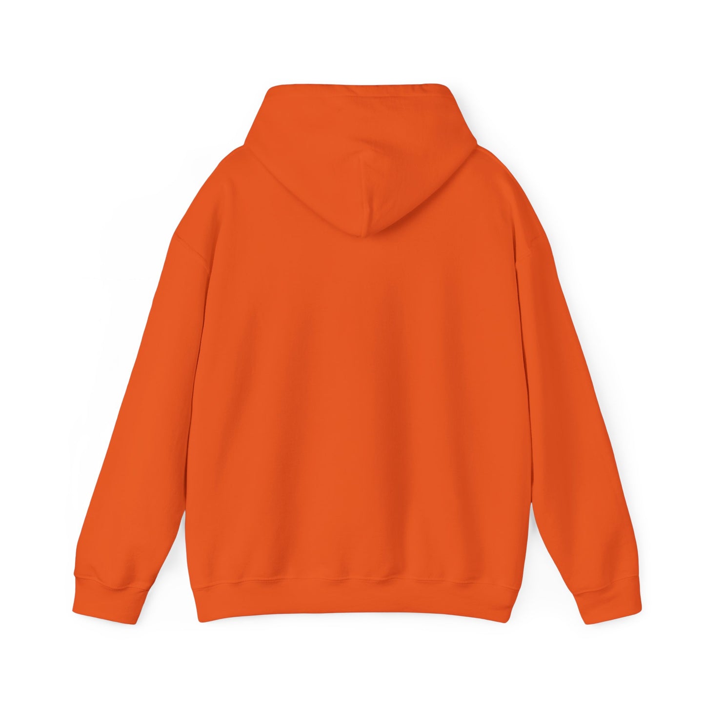 Not Your Basic Flying Witch w/ Curly Hair Hooded Sweatshirt