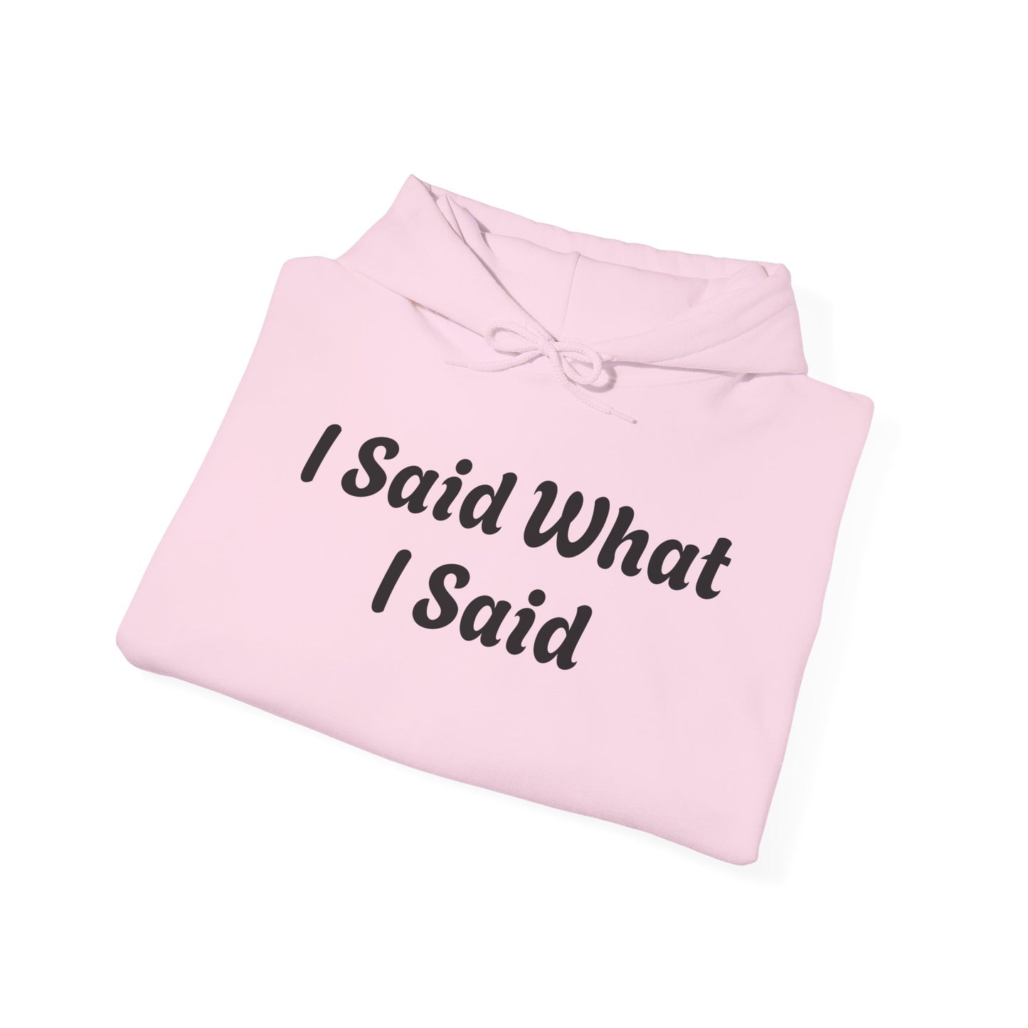 I Said What I Said Hooded Sweatshirt