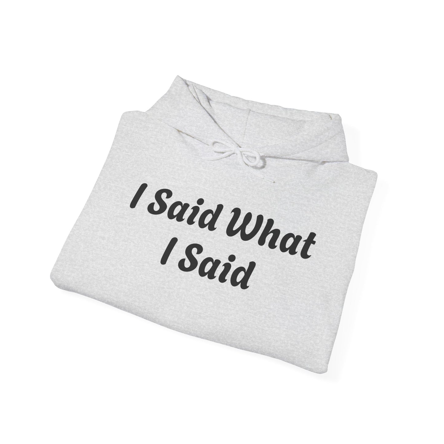 I Said What I Said Hooded Sweatshirt