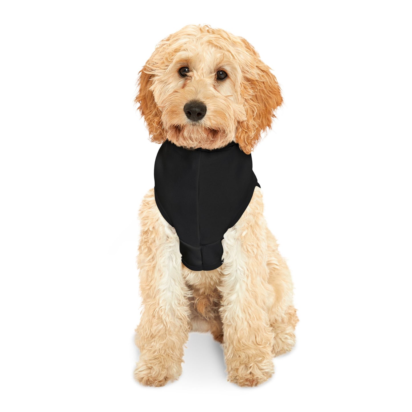 Cupid Cutie Pet Hoodie
