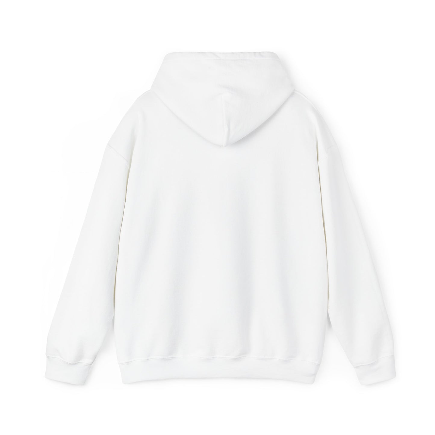 Not Your Basic Flying Witch w/ Wild Locs Hooded Sweatshirt