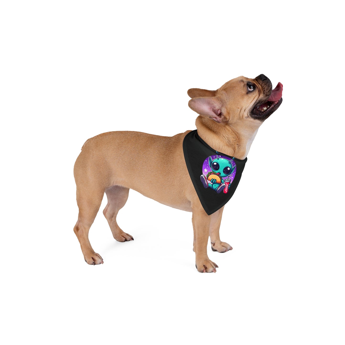 Extraterrestrial Taco Tuesday Pet Bandana
