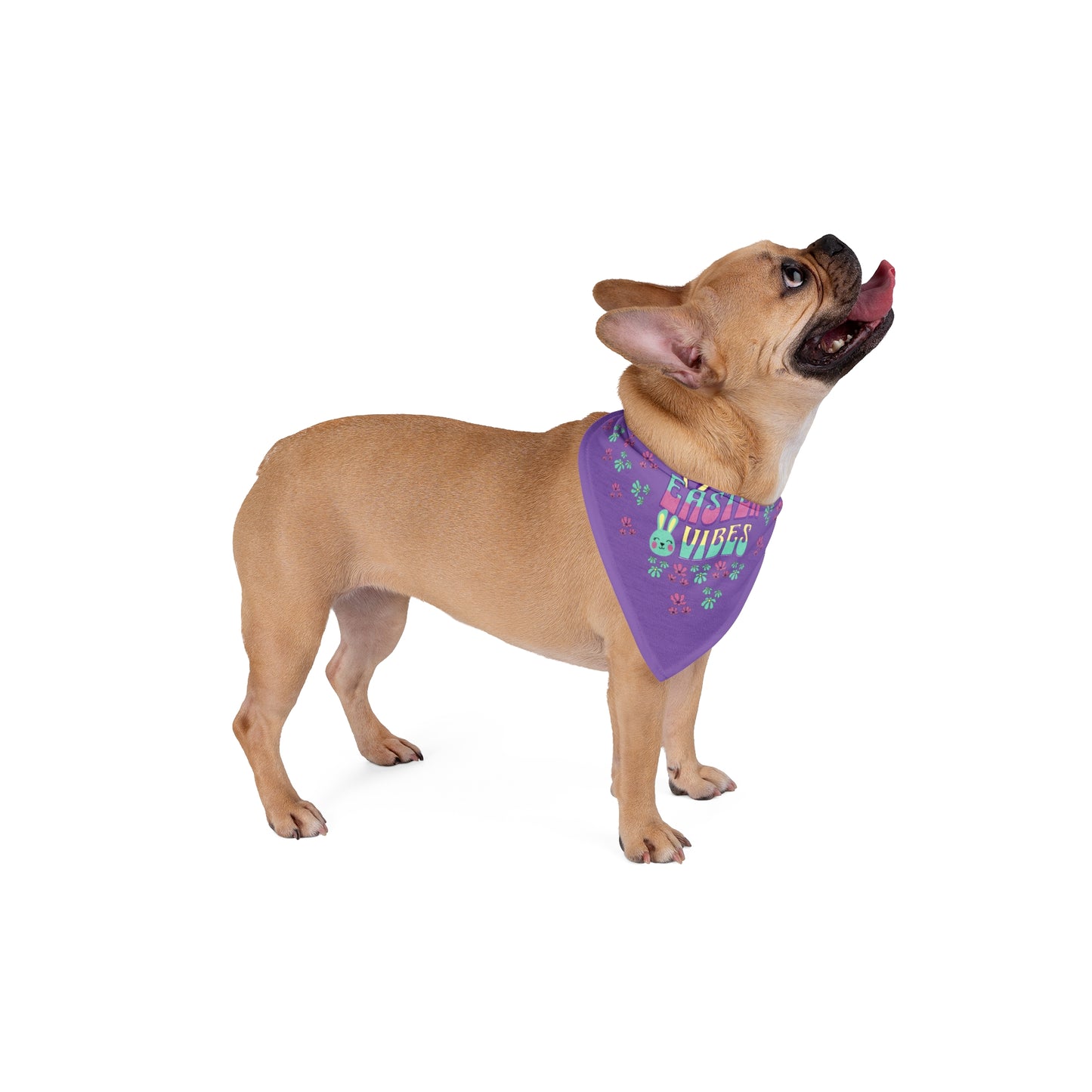 Easter Vibes Pet Bandana