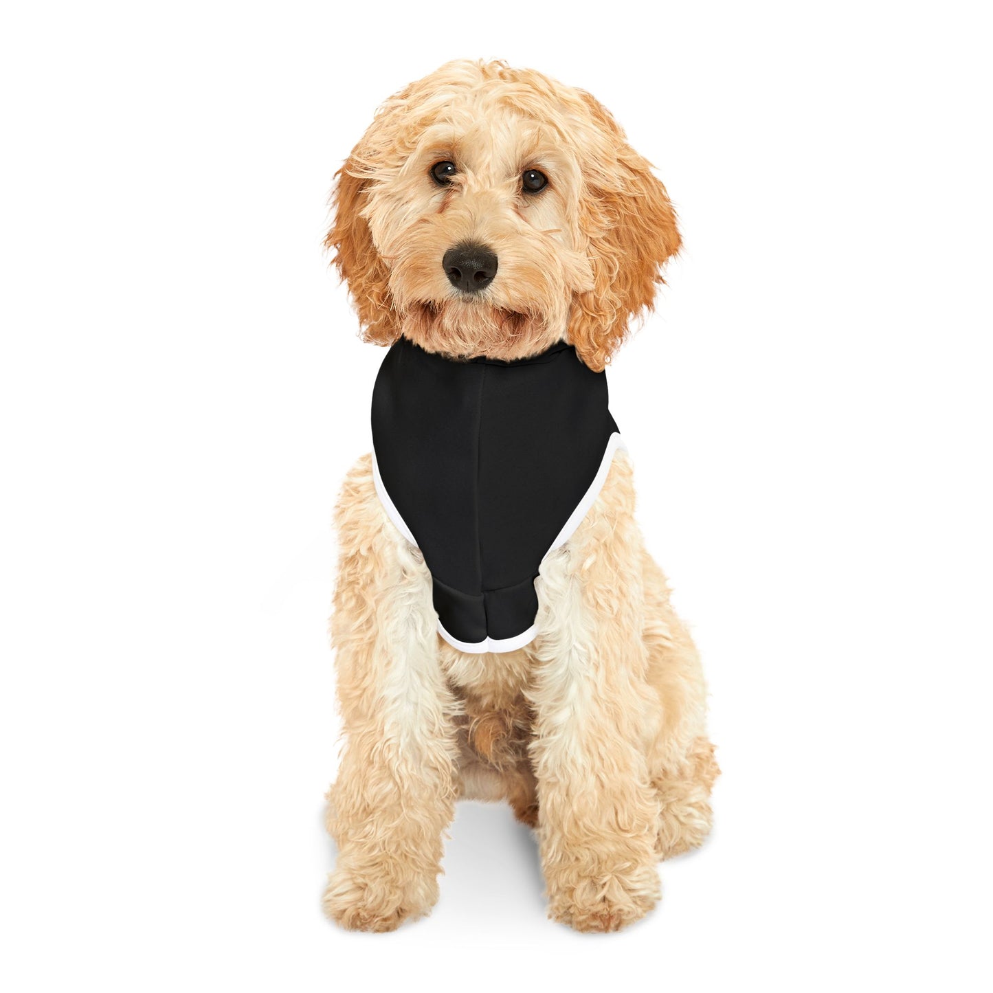 Cupid Cutie Pet Hoodie